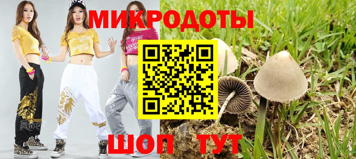 Майский  Псилоцибиновые грибы Psilocybe  Галлюциногенные грибы мицелий  Вход с VPN 